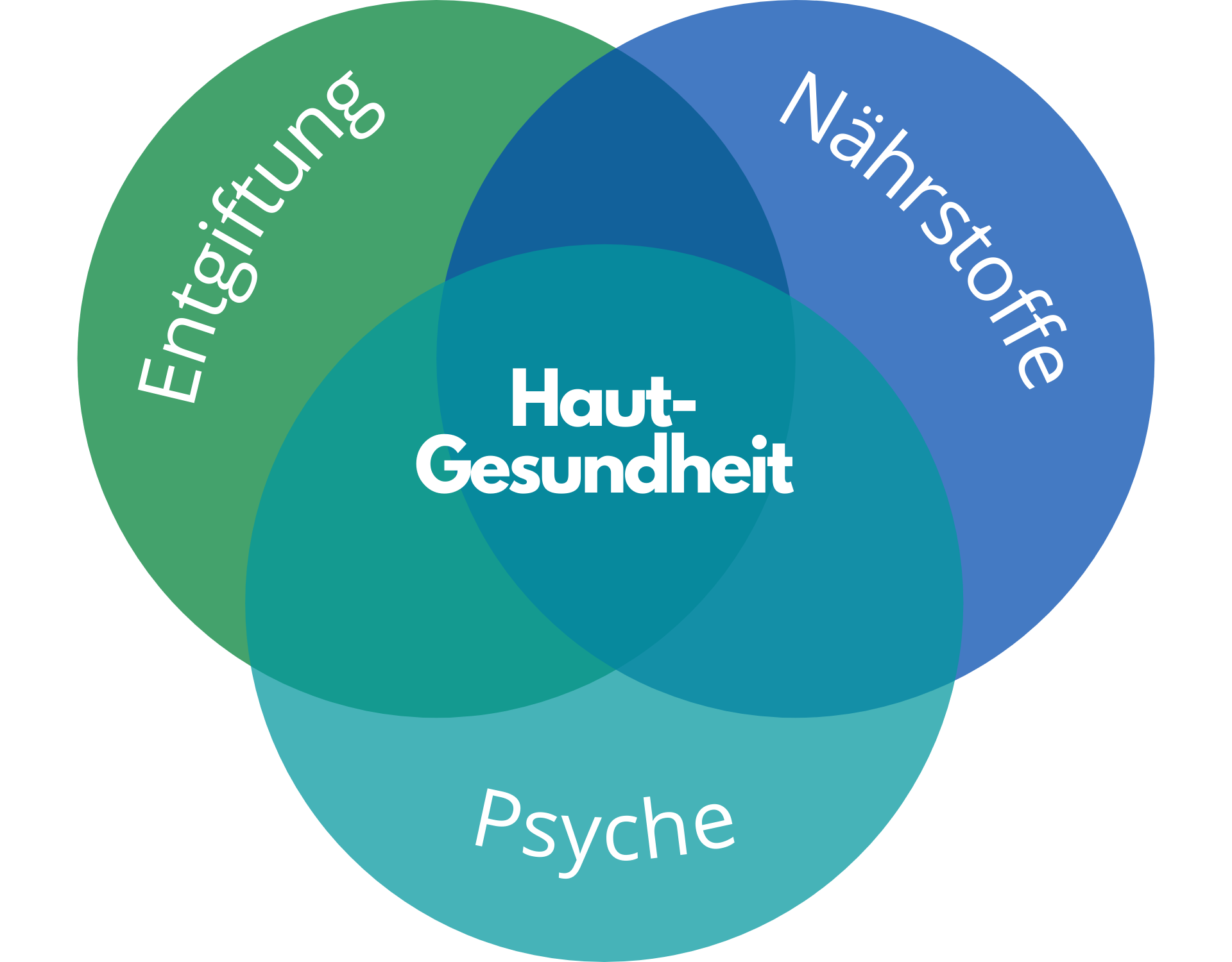 Gemeinsam lösen ist die Lösung (1)